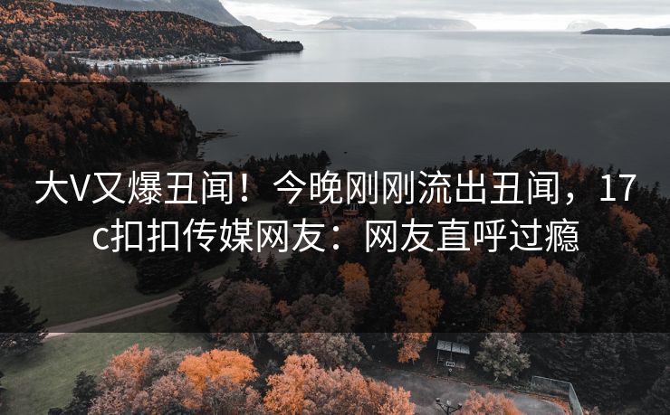 大V又爆丑闻！今晚刚刚流出丑闻，17c扣扣传媒网友：网友直呼过瘾