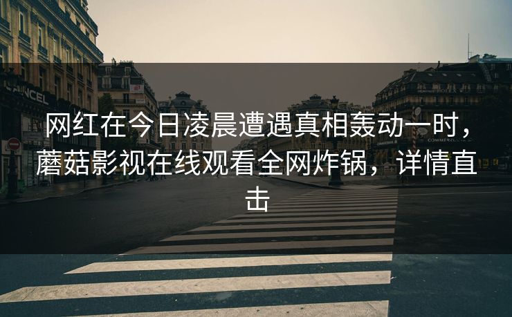网红在今日凌晨遭遇真相轰动一时，蘑菇影视在线观看全网炸锅，详情直击